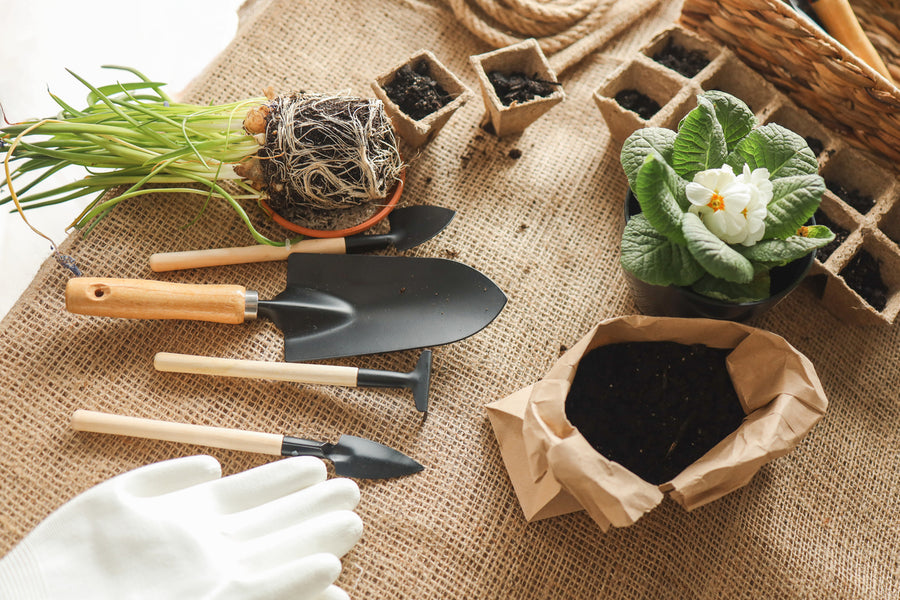 The Uses of Mudfords Hessian During the Summer Months