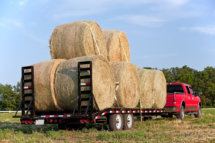 Unveiling the Essential Agricultural Products